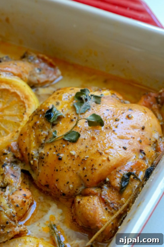 Zesty Mediterranean Chicken Thighs 8 Lemon Greek baked chicken thighs in a baking dish with lemon slices and sprigs of thyme.