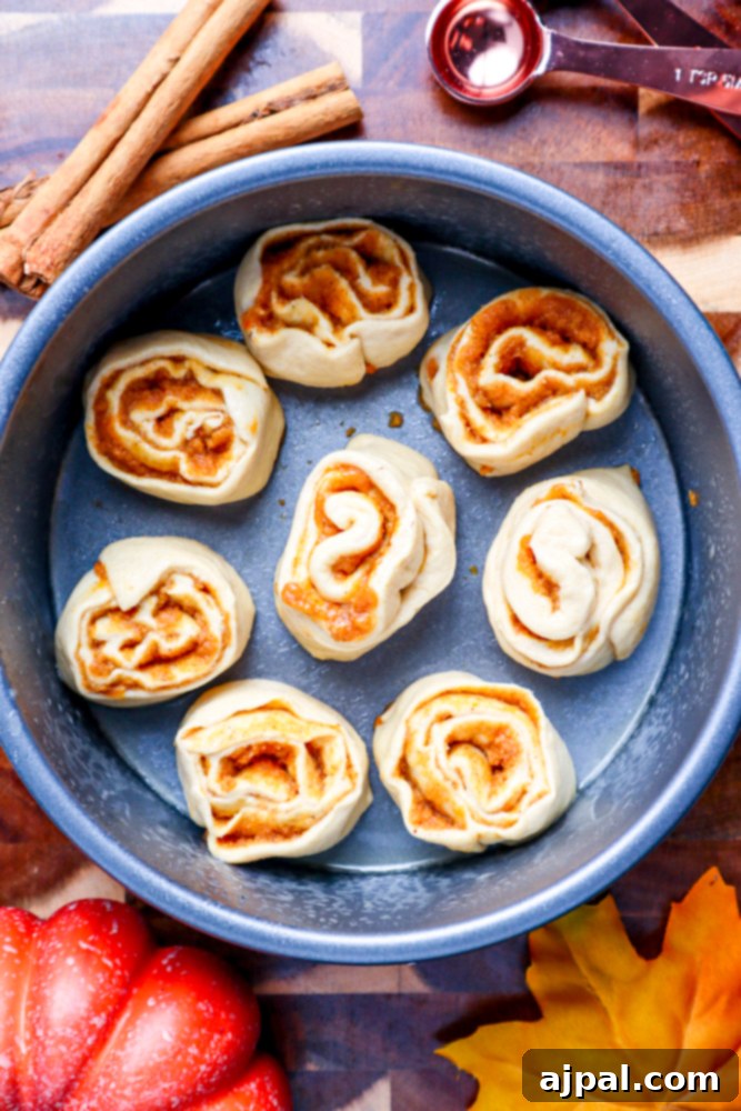 Eight perfectly formed pumpkin cinnamon rolls arranged swirl-side up within a metal cake pan, ready for cooking.