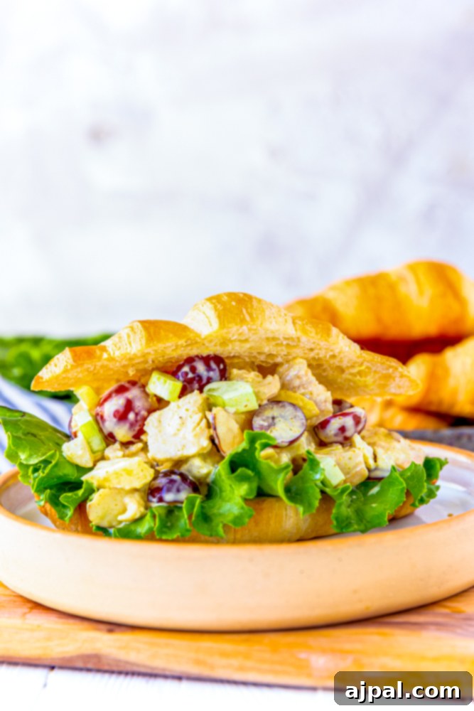 Creamy chicken salad with fruit served on a croissant on a plate