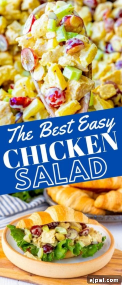 chicken salad with fruit in a bowl and a sandwich on a plate picture