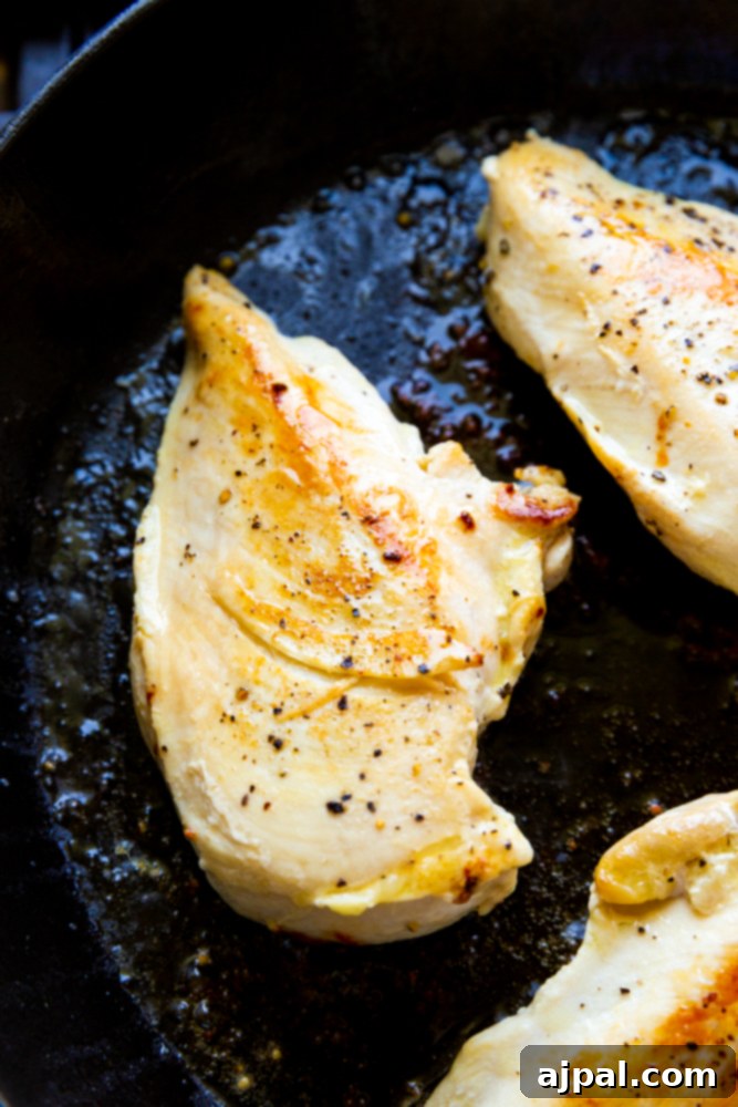 picture of pan fried chicken 