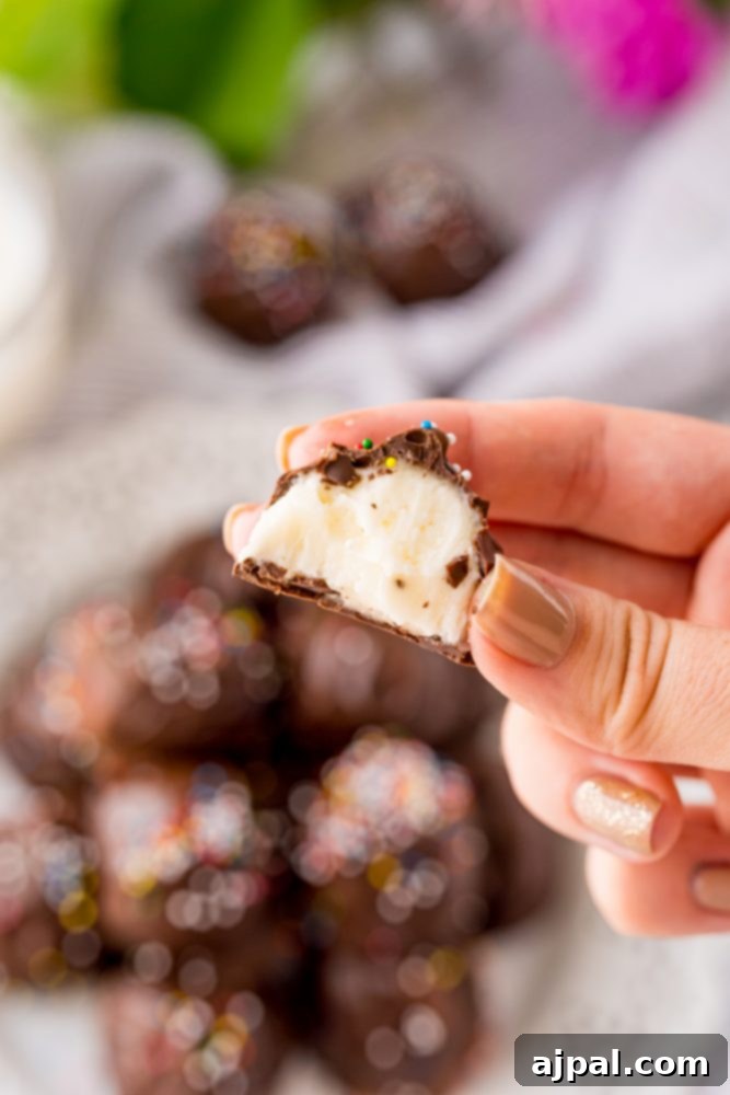 A hand holds a chocolate-dipped buttercream candy with colorful sprinkles, showcasing a delightful bite taken from it.