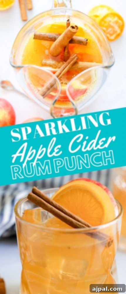 A full-length image showcasing a glass of Sparkling Apple Cider Rum Punch with all its garnishes, highlighting the final presentation of this exquisite fall cocktail.