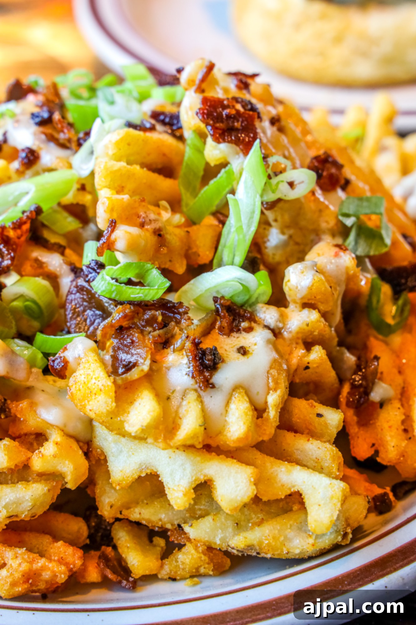 Delicious loaded fries from Denver Biscuit Company, a perfect Southern Colorado road trip snack.