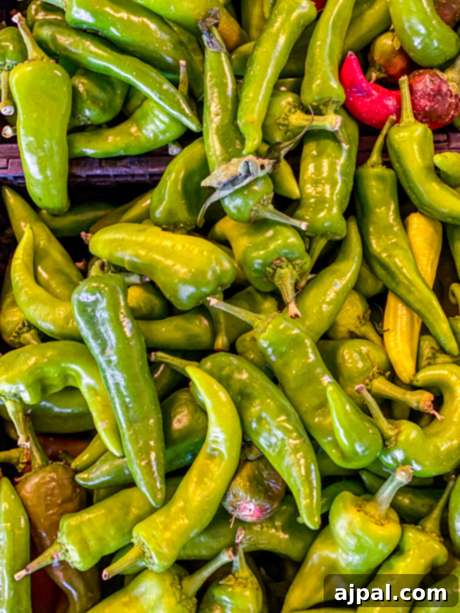 Fresh green peppers abundantly displayed at a market stall, a highlight of Southern Colorado.
