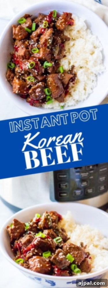 Quick & Flavorful Instant Pot Korean Beef 9 Instant pot korean beef recipe.