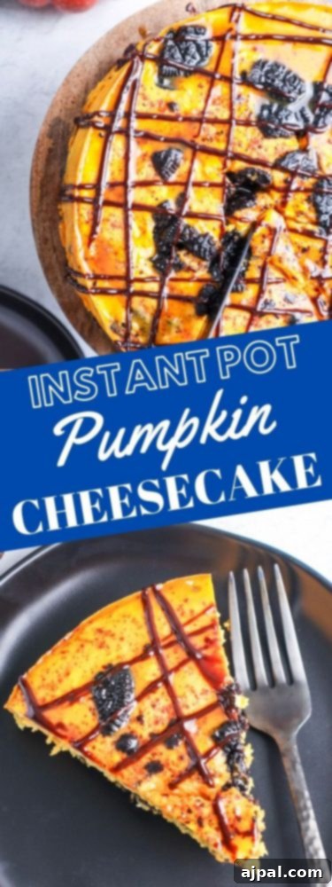 Instant Pot Pumpkin Oreo Dream Cheesecake 7 A close-up of a slice of Instant Pot Pumpkin Cheesecake with a fork resting beside it.