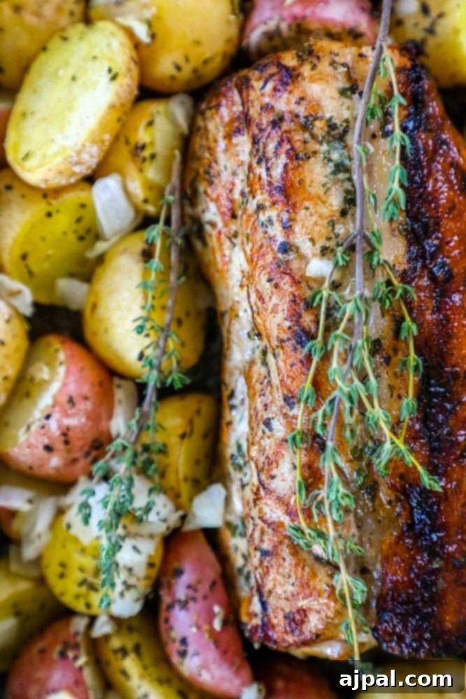 Roasted pork loin with golden potatoes and fresh herbs in a baking dish, ready to serve.