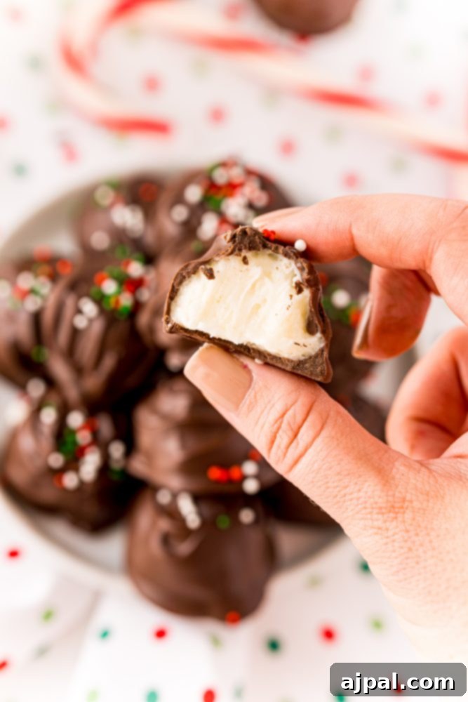 A hand holding a chocolate buttercream candy with green, white, and red sprinkles, perfectly showcasing the festive treat.