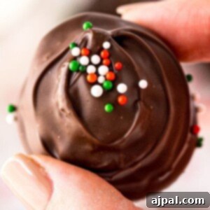 A hand holding a chocolate buttercream candy with green, white, and red sprinkles