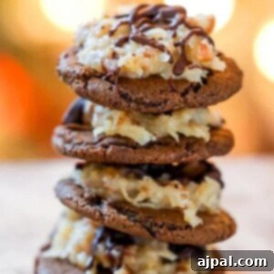 Chocolate cookie topped with coconut and chocolate German topping