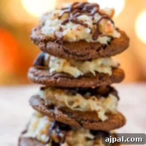 Chocolate cookie topped with coconut and chocolate German topping