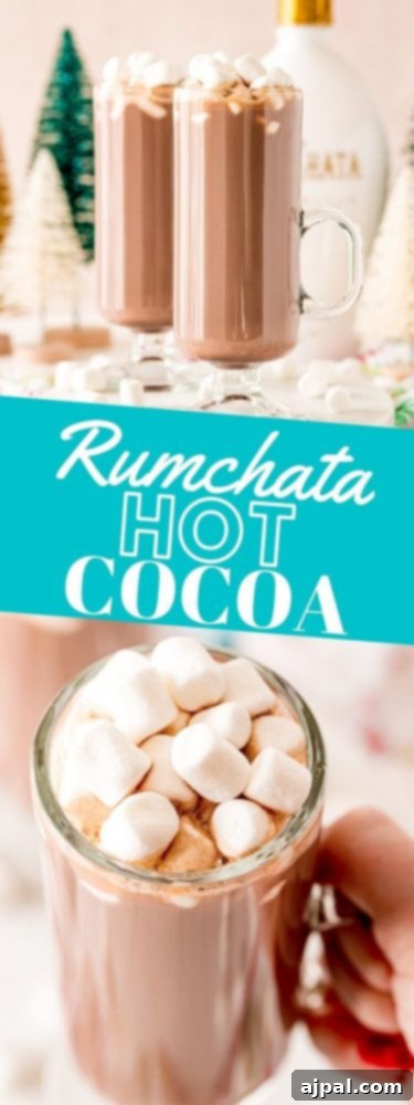 Creamy Rumchata Hot Chocolate Cocktail 12 A beautifully presented RumChata hot cocoa cocktail recipe, garnished perfectly, showcasing its rich and inviting appeal.