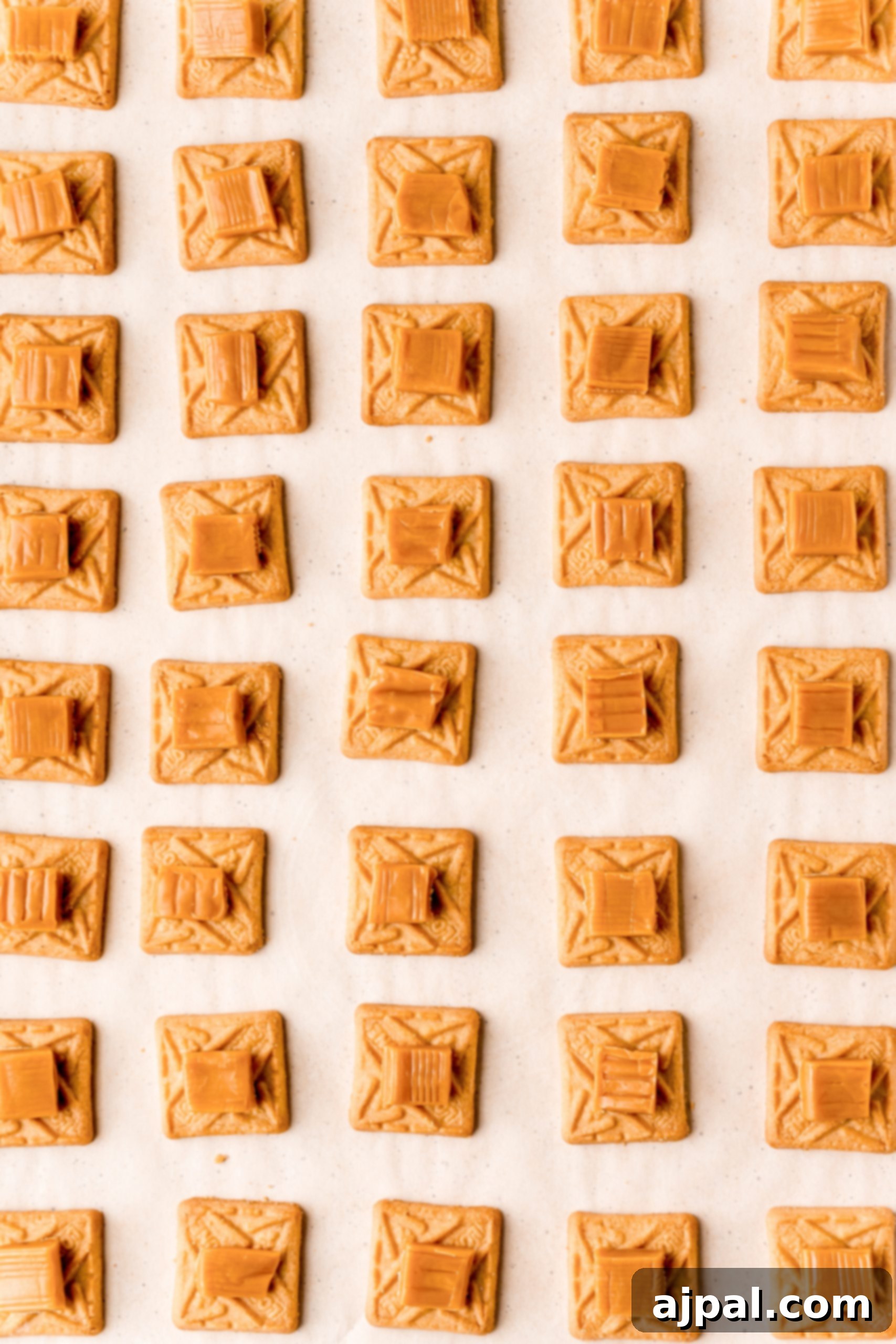 Decadent Millionaire Shortbread Bites Made Easy 10 A scattering of peanut butter pretzels on a pristine white surface, evoking the delightful crunch and flavor of Easy Millionaire Bars.