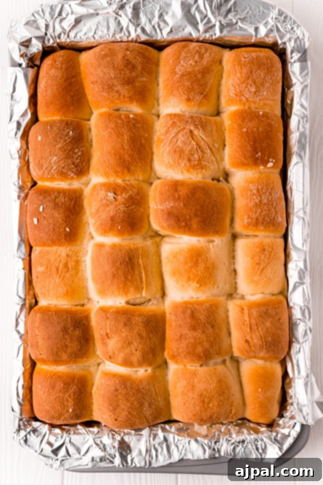 Effortless Melt-in-Your-Mouth Buttery Dinner Rolls 20 picture of baked dinner rolls on baking sheet lined with foil