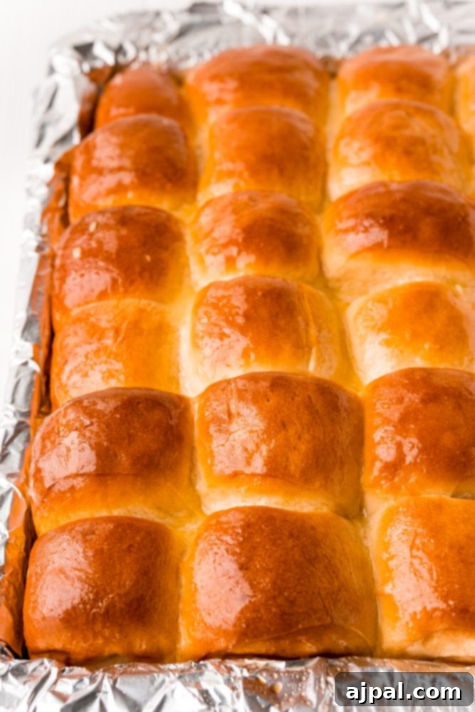 Effortless Melt-in-Your-Mouth Buttery Dinner Rolls 22 picture of buttered rolls on a baking sheet