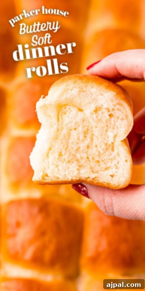 Effortless Melt-in-Your-Mouth Buttery Dinner Rolls 27 picture of hand holding parker house dinner roll