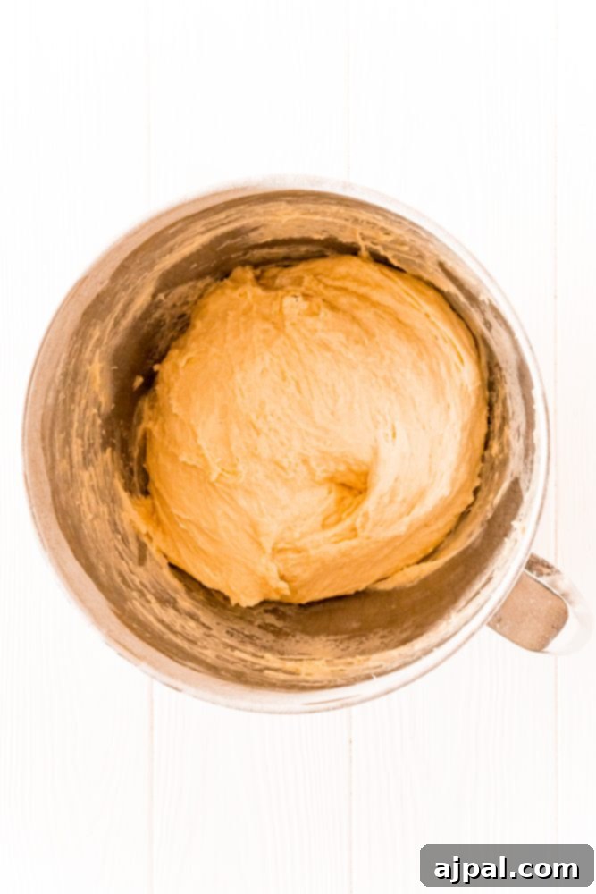 Effortless Melt-in-Your-Mouth Buttery Dinner Rolls 9 picture of mixed bread roll dough