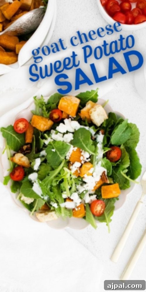 Goat cheese sweet potato salad, beautifully arranged to showcase its freshness and enticing ingredients.