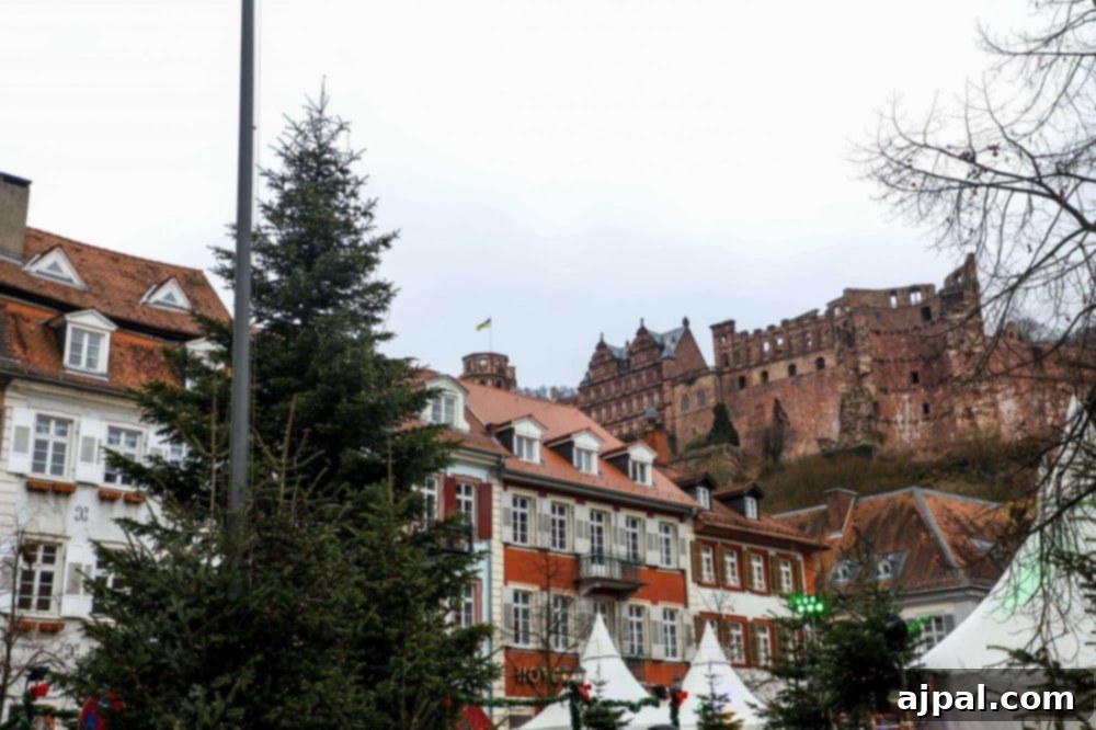 Heidelberg Castle majestically overlooking the bustling Christmas market below, creating a truly magical holiday atmosphere.