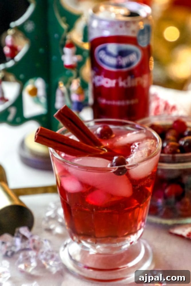 Ruby Cranberry Fizz 2 A glass of sparkling cranberry punch with cinnamon sticks, ice, and fresh cranberries, ready to be enjoyed.