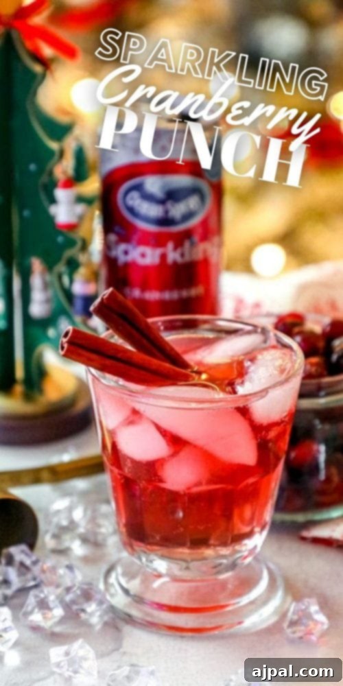 Ruby Cranberry Fizz 9 A glass of cranberry punch with cinnamon sticks, ice, and cranberries in it, sparkling and inviting.
