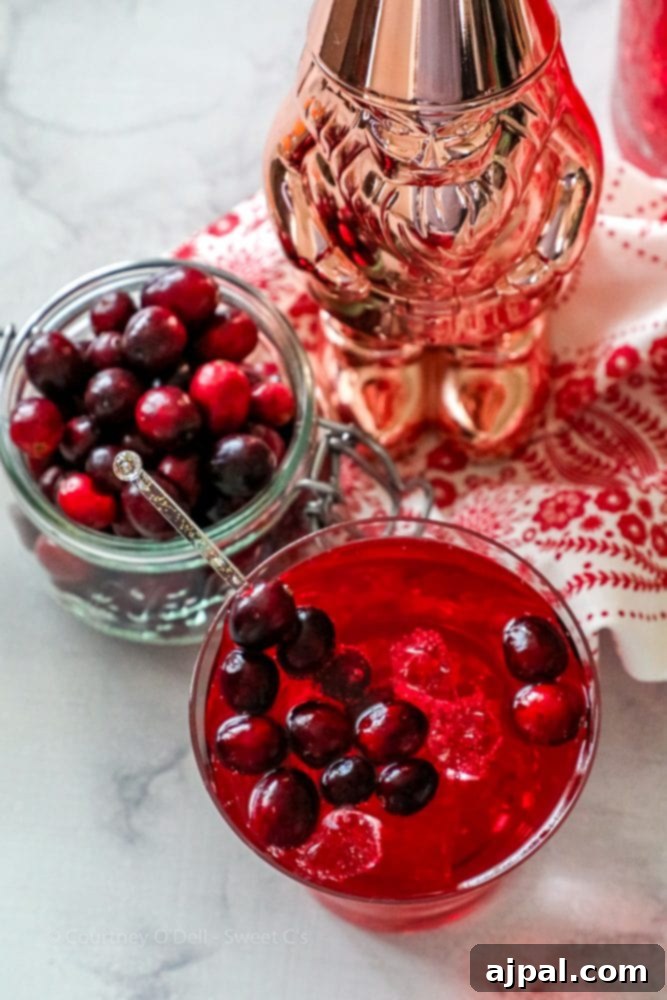 Ruby Cranberry Fizz 3 A vibrant glass of sparkling cranberry juice, garnished with ice and fresh cranberries, offering a refreshing holiday drink.
