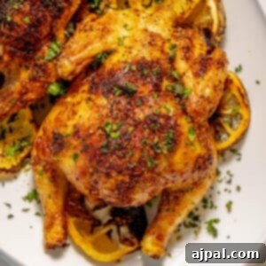 air fried cornish game hens seasoned with herbs and topped with chopped parsley on a white plate