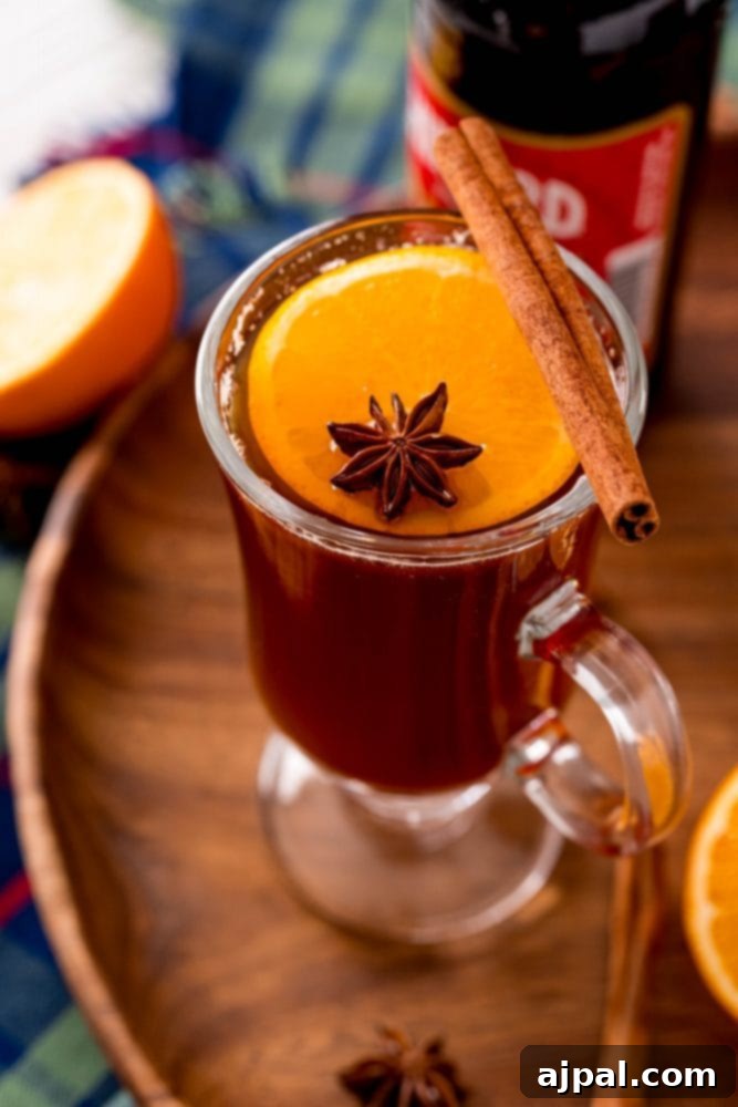 picture of a glass mug with mulled beer, an orange slice, star of anise, and cinnamon stick in it