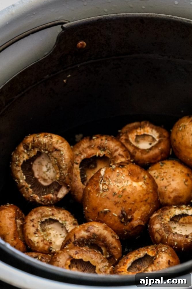 Seasoned mushrooms neatly arranged in an air fryer basket, ready for cooking.