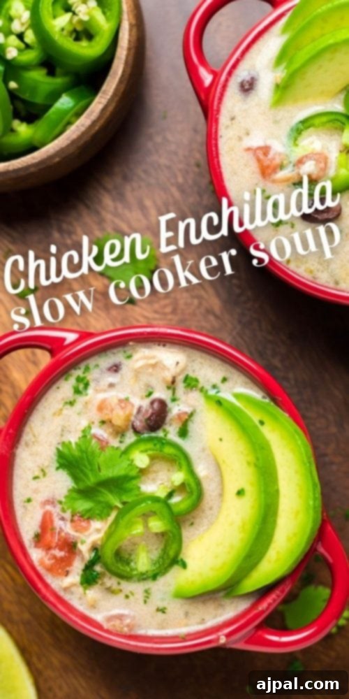 Easy Slow Cooker Chicken Enchilada Soup 16 Slow cooker chicken enchilada soup recipe.