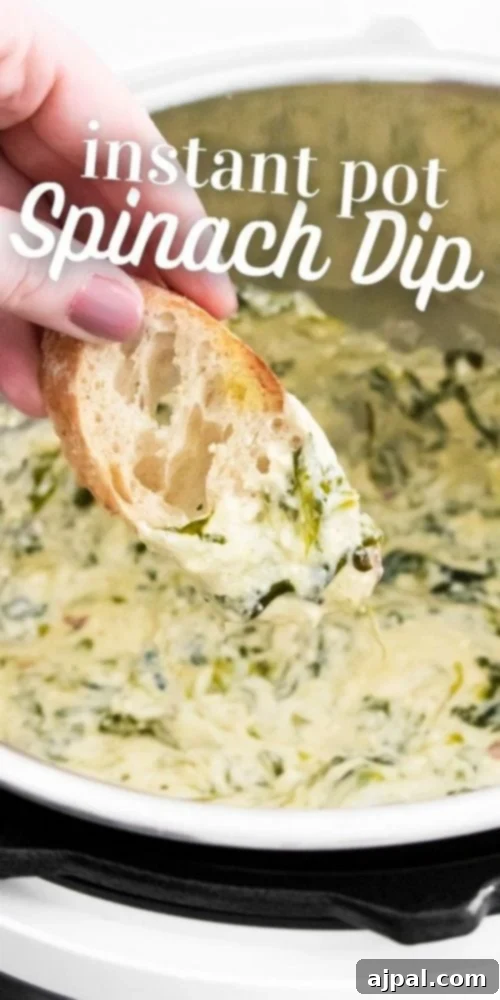 Creamy Instant Pot Spinach Dip 16 A top-down view of a creamy Instant Pot spinach dip, garnished and ready to be served, with a focus on its appealing texture.