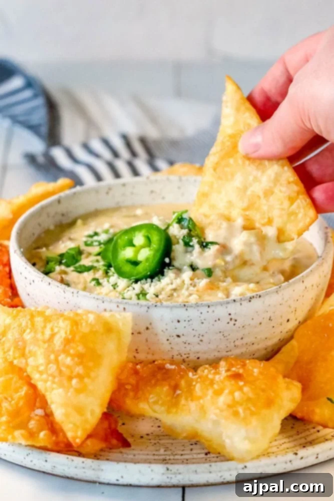 Hamburger White Queso Dip 6 A person preparing a delicious bowl of white queso dip with ground beef and peppers, garnishing it for serving.
