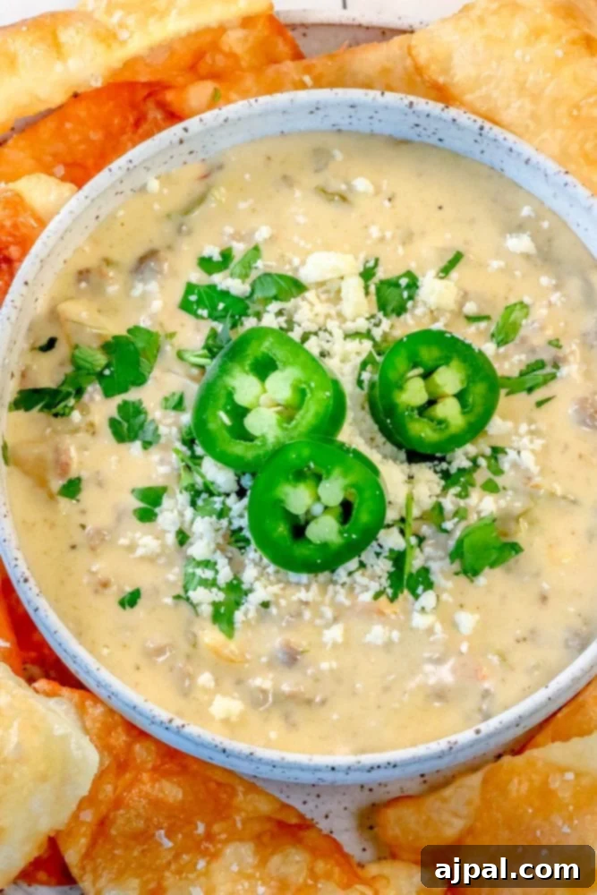 Hamburger White Queso Dip 3 A bowl of creamy white cheese queso dip with fresh jalapenos, cilantro, and tortilla chips arranged around it.