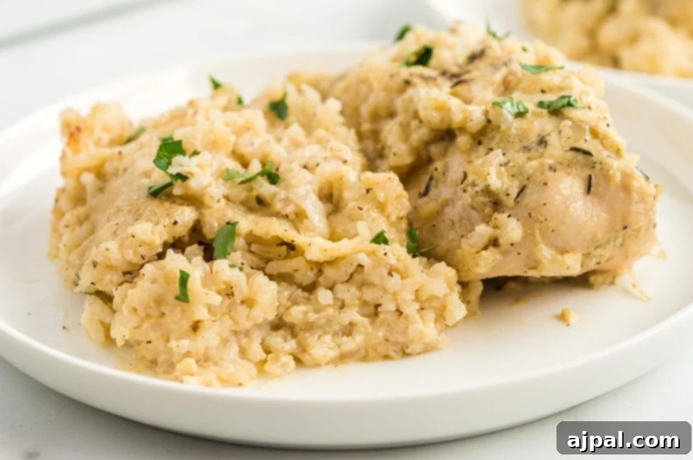 Flavorful One-Pan Chicken and Rice Bake 2 A delicious plate of one-pot baked chicken and rice, garnished with fresh parsley.