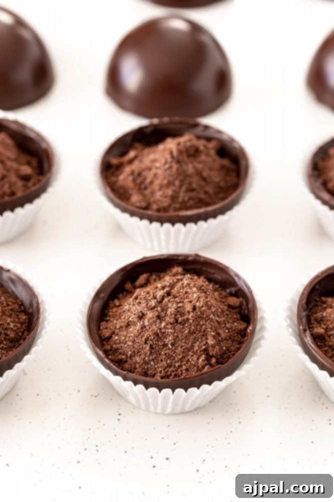 Berry Burst Hot Cocoa Spheres 15 Chocolate cups in cupcake liners filled with brown powder (cocoa mix).