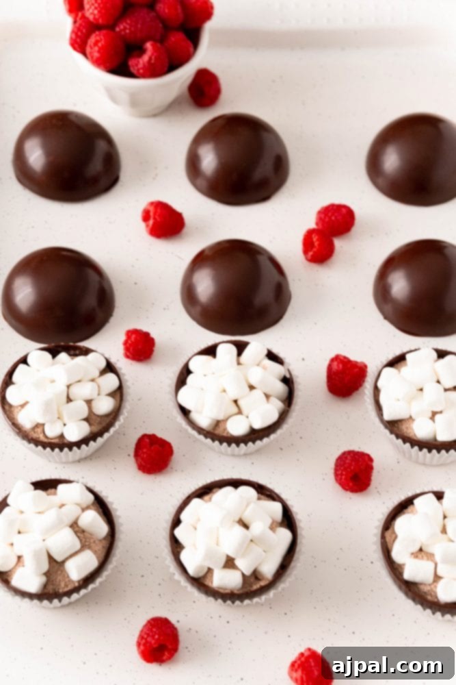 Berry Burst Hot Cocoa Spheres 16 Raspberry chocolate s'mores cups with marshmallows, a variation of the hot chocolate bomb.