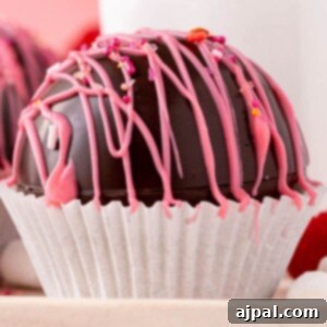 Berry Burst Hot Cocoa Spheres 27 Valentine's day Raspberry Chocolate Truffles.