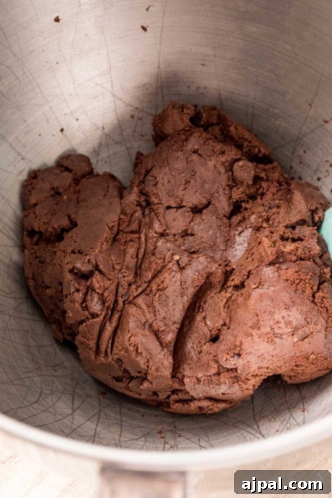 Andes Mint Lava Cookies 7 bowl of chocolate cookie dough