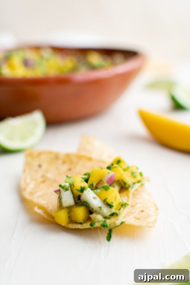 Tropical Mango Avocado Salsa 5 A crisp tortilla chip generously loaded with fresh mango avocado salsa, with vibrant lime wedges in the blurred background.