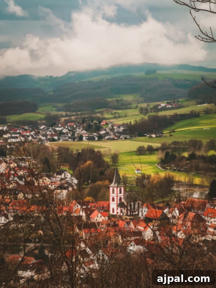 A charming German village, Michelstadt, with traditional architecture and a church on a hill.