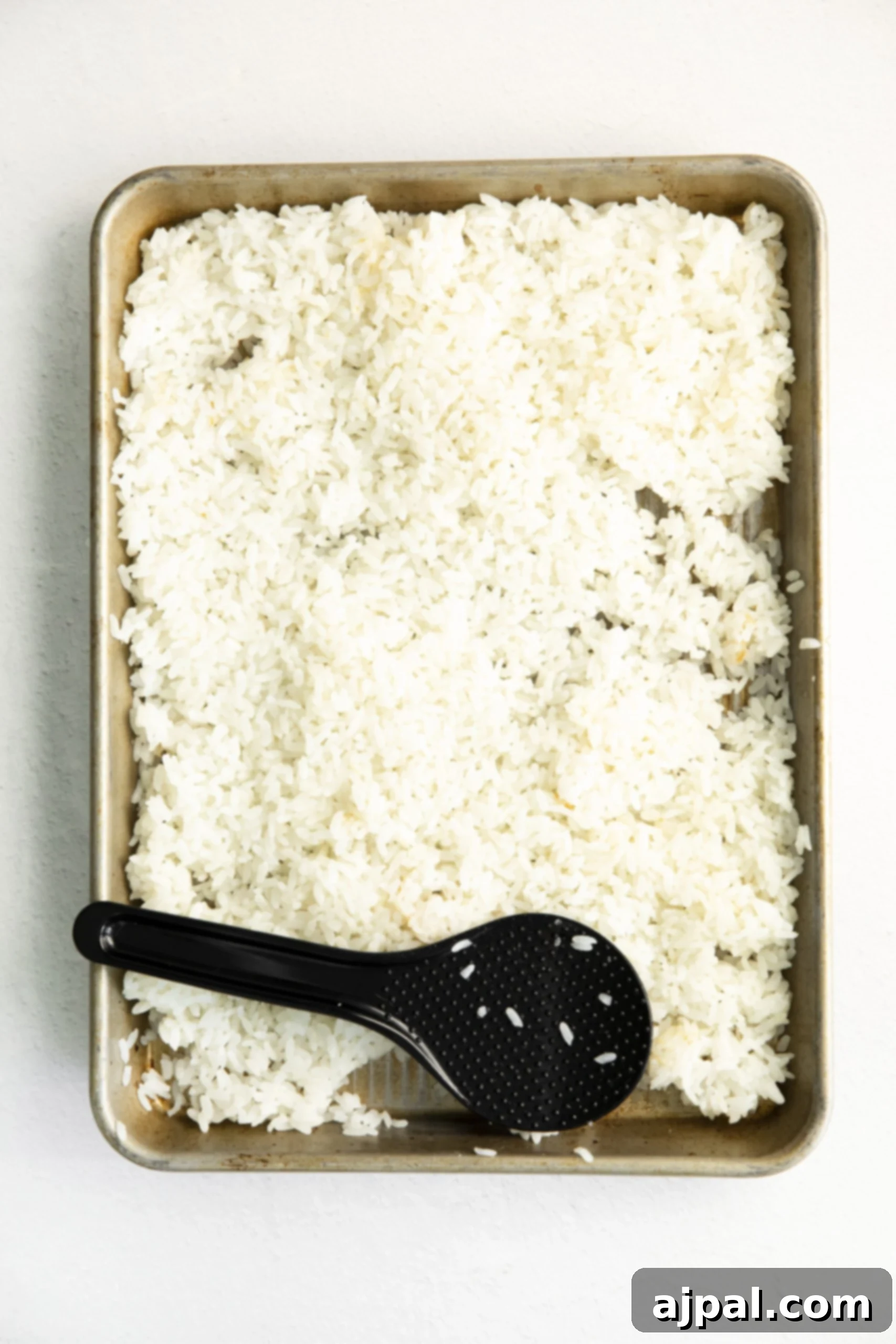Vegan sushi recipe featuring perfectly cooked white rice served in a pan with a spoon, ready for rolling.