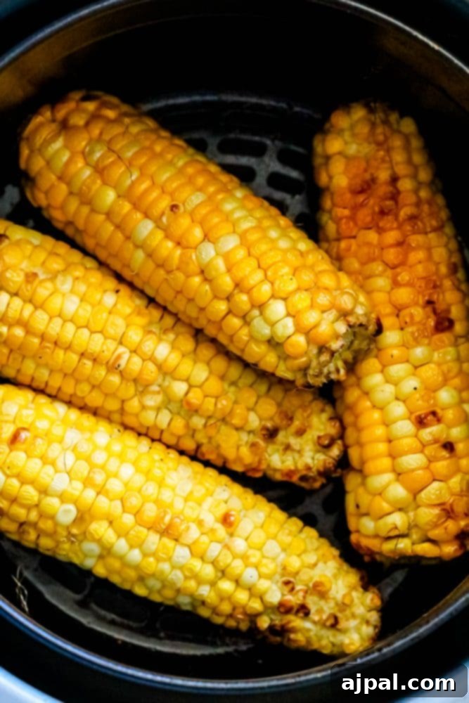 Golden-brown ears of corn nestled in an air fryer basket, just finished cooking to perfection.