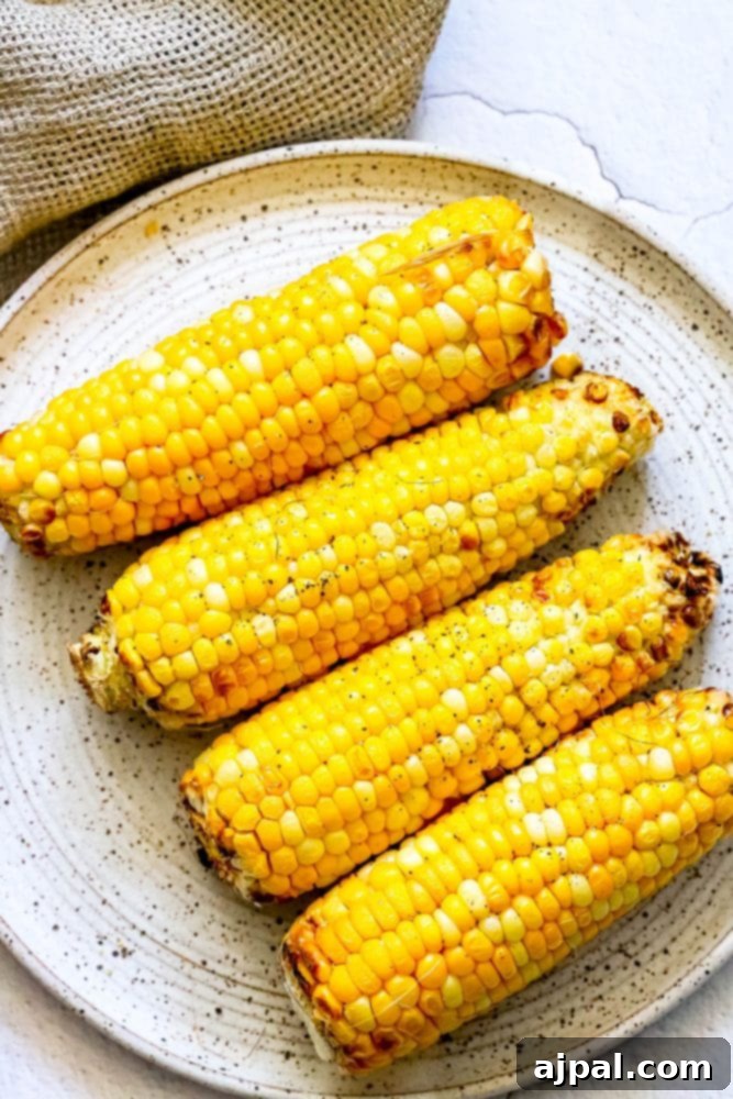 Two perfectly roasted corn cobs with light charring on a white plate, garnished with fresh herbs.