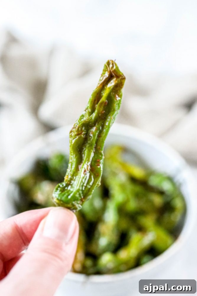 A hand gently holds a handful of freshly air-fried shishito peppers, showcasing their blistered skin and vibrant green color.