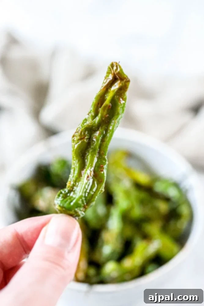 Crispy Air Fryer Shishito Peppers 6 A hand presenting a handful of perfectly air-fried shishito peppers, showcasing their blistered texture.