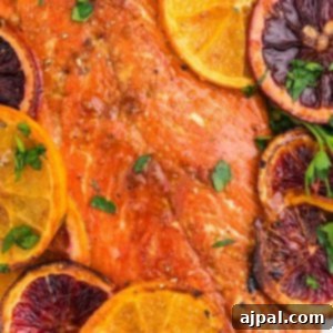 Grilled salmon with orange slices on a plate.