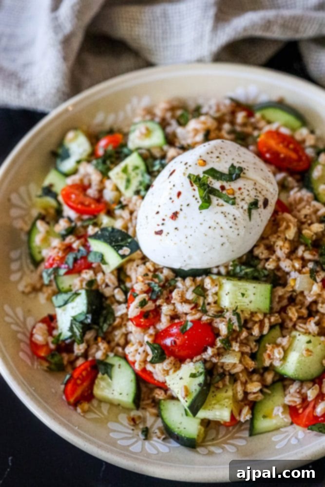 A close-up shot of burrata farro salad in a bowl, showcasing plump tomatoes, green cucumbers, and fresh basil, with a creamy burrata ball on top.