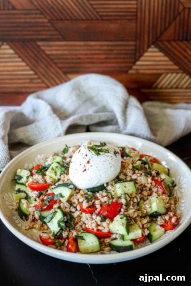 Farro salad with burst open burrata cheese, showcasing its creamy interior over fresh tomatoes, cucumber, and basil in a rustic bowl.