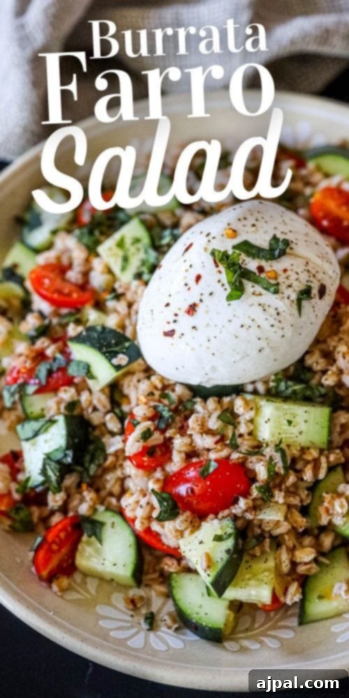 A rustic bowl of burrata farro salad, featuring the grain, tomatoes, cucumber, and basil, topped with a beautiful burrata ball.